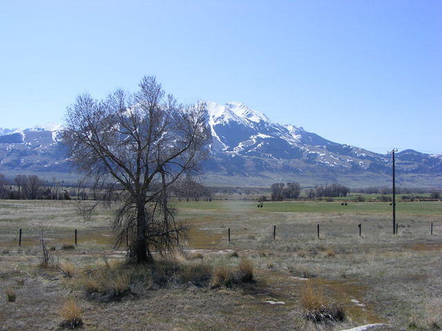 Montana