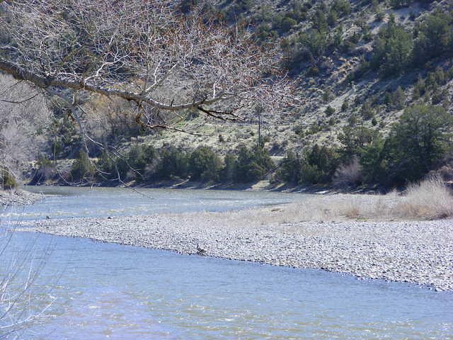 Yellowstone River, MT