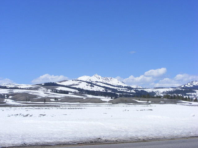 Yellowstone NP