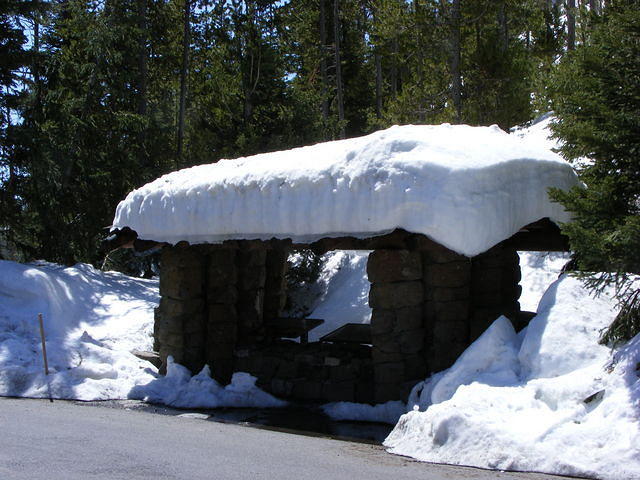 Yellowstone NP