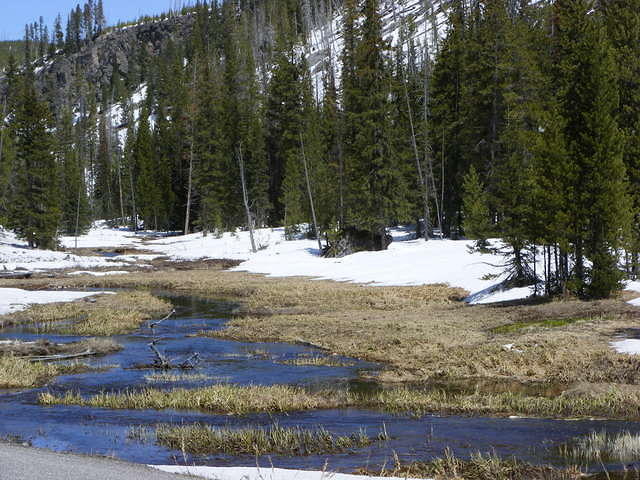 Yellowstone NP