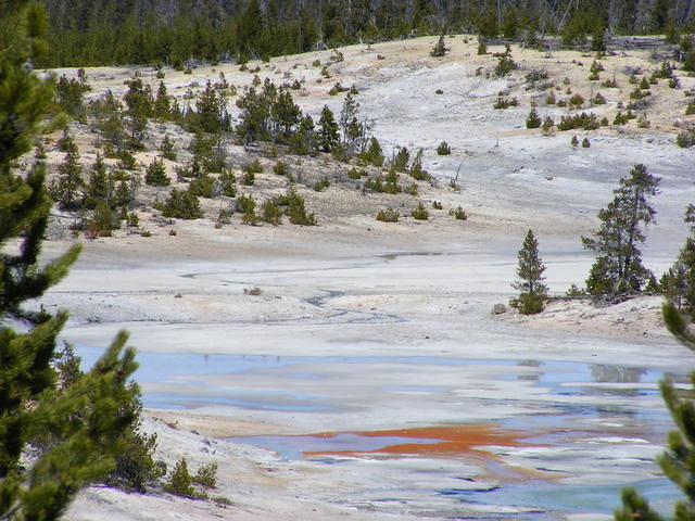 Yellowstone NP