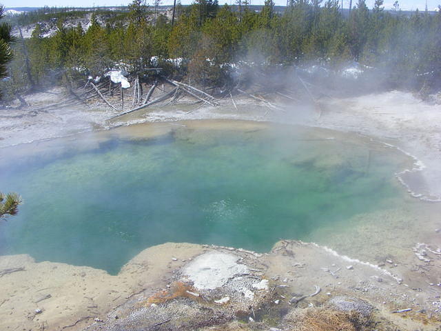 Emerald Spring - Yellowstone NP