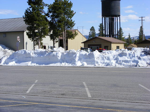 Yellowstone NP(Mid May)