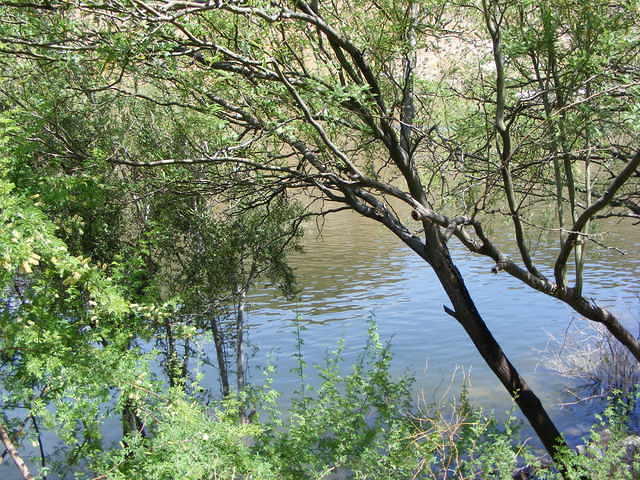  Canyon Lake, AZ