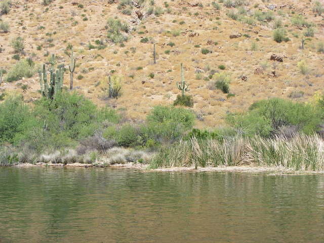  Canyon Lake, AZ