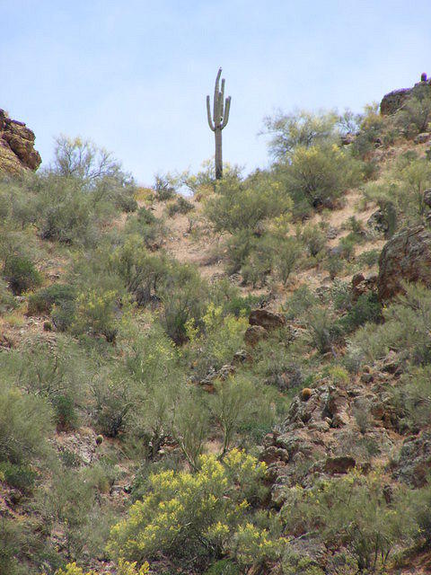  Canyon Lake, AZ