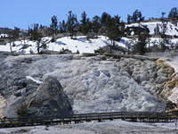 Yellowstone NP