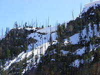 Yellowstone NP