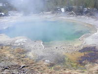 Emerald Spring - Yellowstone NP