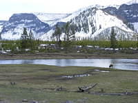 Yellowstone NP